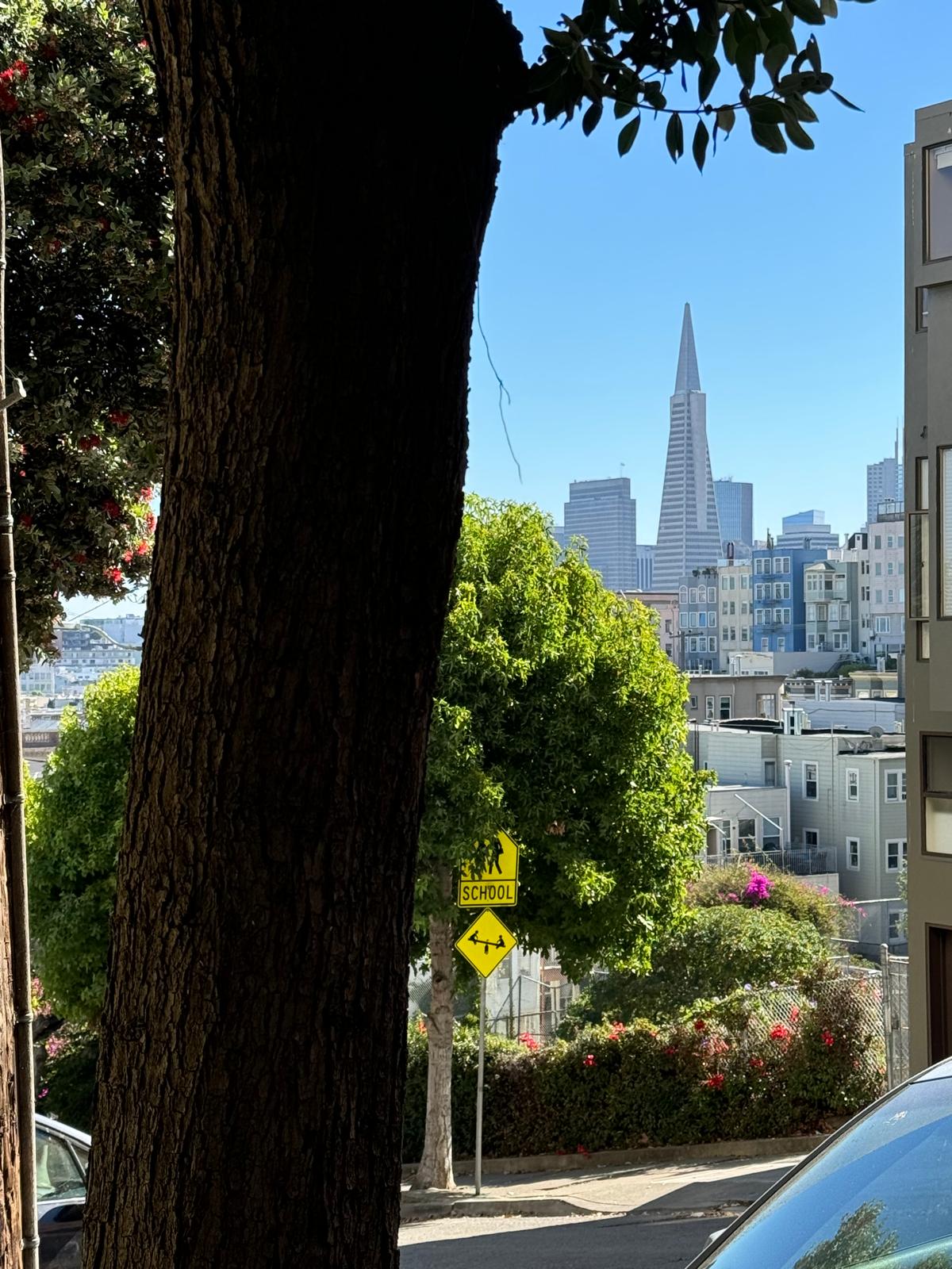 View of San Francisco from our current neighborhood